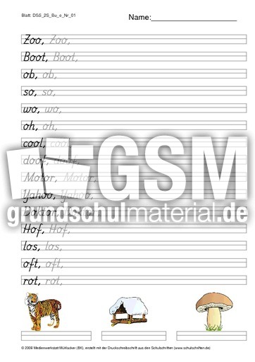 DSS_2S_Bu_o_Nr_01.pdf